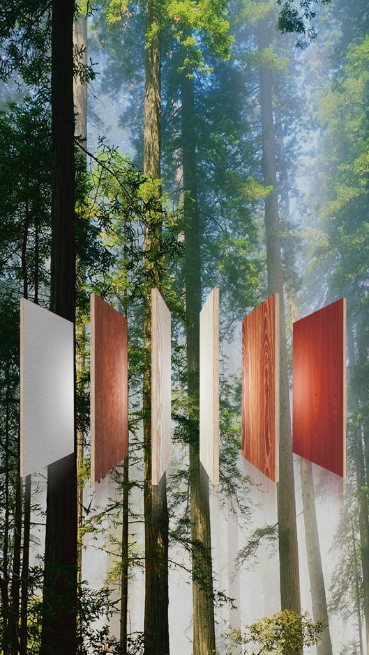 云博体育首页登陆入口 云博体育首页登陆入口